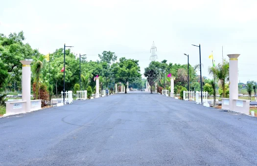 Harini City The Palace